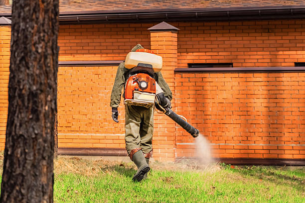 Trusted Termite Control service in Latrobe, PA - Nex Pest Control